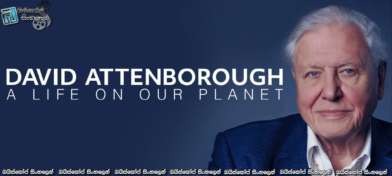 David Attenborough: A Life On Our Planet (2020) Sinhala Subtitles | ඔහුගේ, ඉතිහාසය ගැන සාක්ෂි ප්‍රකාශය හා අනාගත දැක්ම [සිංහල උපසිරසි සමඟ]