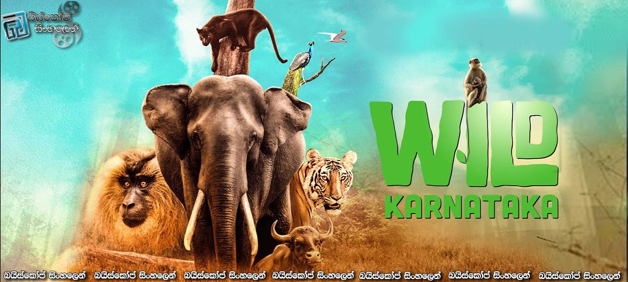Wild Karnataka (2020) Sinhala Subtitles | කර්ණාටක වනාන්තරවලට සවාරියක්… [සිංහල උපසිරසි සමඟ]