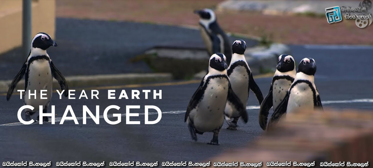 The Year Earth Changed (2021) Sinhala Subtitles | මිහිතලය වෙනස් වූ 2020 වසර [සිංහල උපසිරසි]