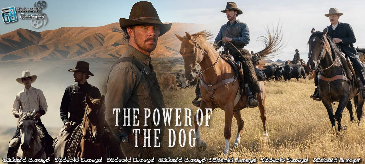 The Power Of The Dog (2021) Sinhala Subtitles | බල්ලෝ බිරුවට කඳු පාත්වෙන්නෙ නැහැ… [සිංහල උපසිරසි]