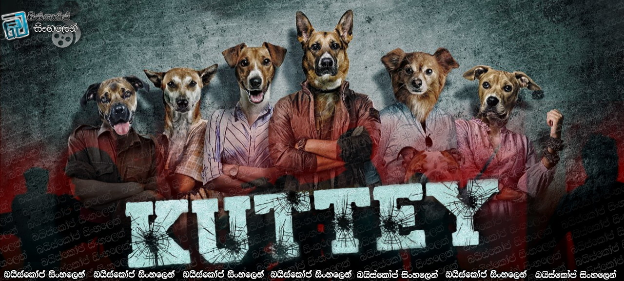 Kuttey (2023) Sinhala subtitles | බල්ලන් වැනි මිනිසුන් [සිංහල උපසිරසි]