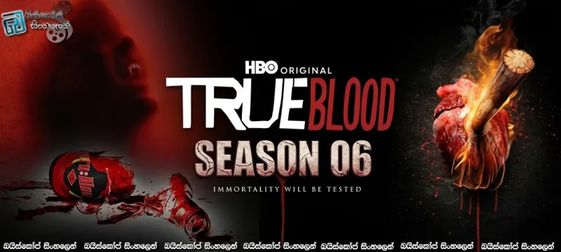 True Blood [S06 : E01] Sinhala Subtitles | ලේ විලෙන් නැගිටි දෙවියෙක්  [සිංහල උපසිරැසි සමඟ]